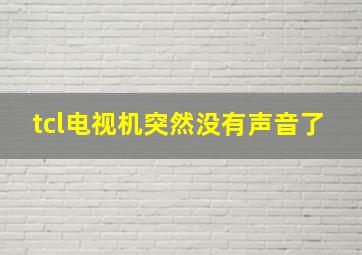 tcl电视机突然没有声音了