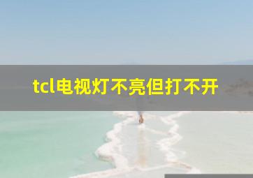 tcl电视灯不亮但打不开