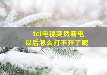 tcl电视突然断电以后怎么打不开了呢