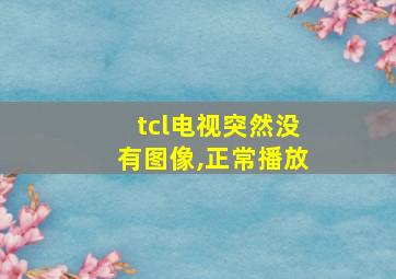 tcl电视突然没有图像,正常播放