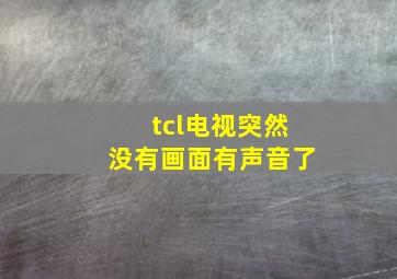 tcl电视突然没有画面有声音了