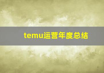 temu运营年度总结