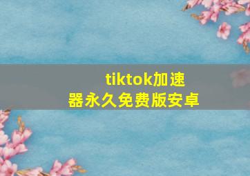 tiktok加速器永久免费版安卓