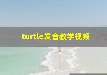 turtle发音教学视频