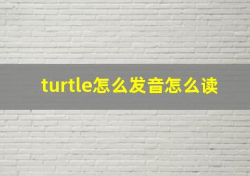 turtle怎么发音怎么读