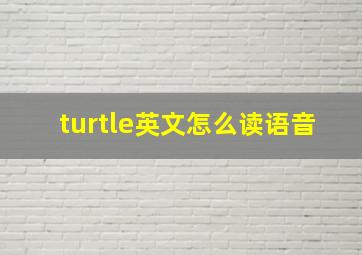 turtle英文怎么读语音