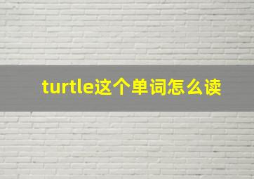 turtle这个单词怎么读