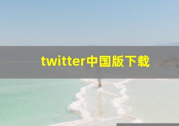 twitter中国版下载