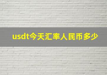 usdt今天汇率人民币多少