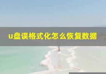 u盘误格式化怎么恢复数据