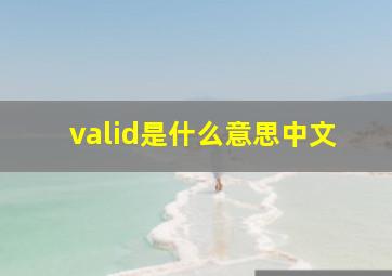 valid是什么意思中文