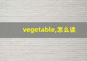 vegetable,怎么读