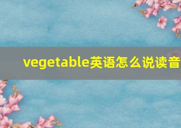 vegetable英语怎么说读音