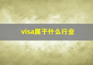 visa属于什么行业