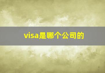 visa是哪个公司的