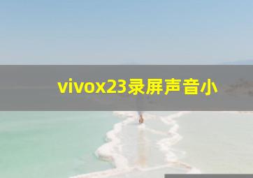 vivox23录屏声音小