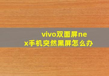 vivo双面屏nex手机突然黑屏怎么办