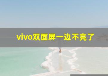 vivo双面屏一边不亮了