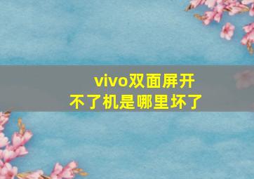 vivo双面屏开不了机是哪里坏了