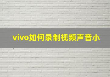 vivo如何录制视频声音小