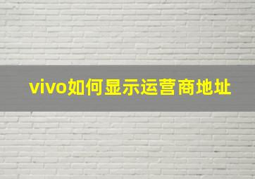 vivo如何显示运营商地址