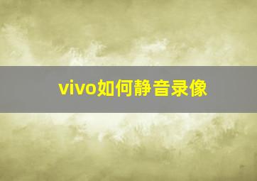 vivo如何静音录像