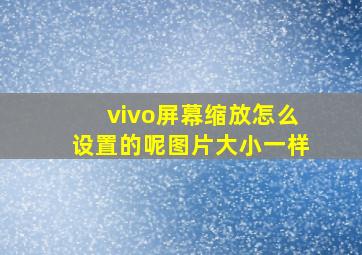 vivo屏幕缩放怎么设置的呢图片大小一样