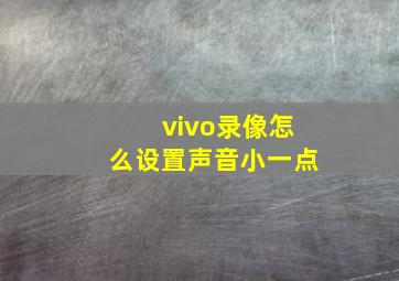 vivo录像怎么设置声音小一点