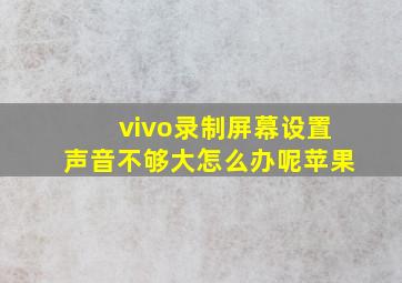 vivo录制屏幕设置声音不够大怎么办呢苹果