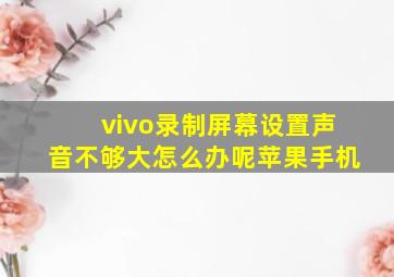 vivo录制屏幕设置声音不够大怎么办呢苹果手机