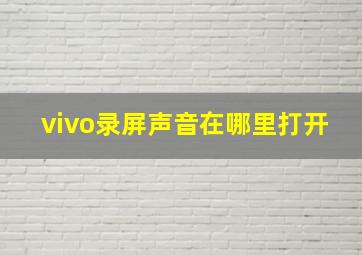 vivo录屏声音在哪里打开