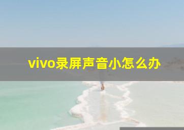 vivo录屏声音小怎么办