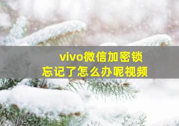 vivo微信加密锁忘记了怎么办呢视频