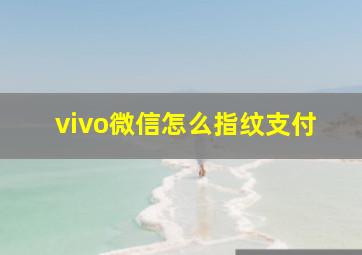 vivo微信怎么指纹支付