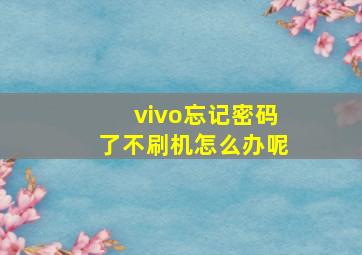 vivo忘记密码了不刷机怎么办呢