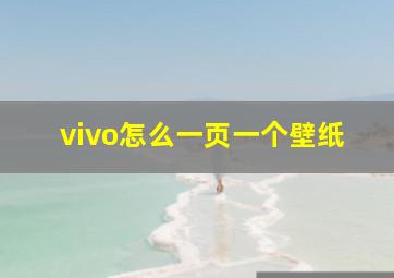 vivo怎么一页一个壁纸