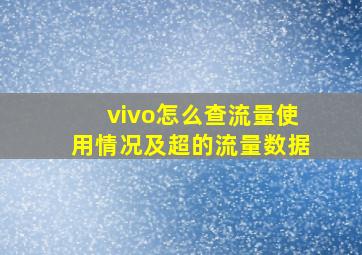 vivo怎么查流量使用情况及超的流量数据