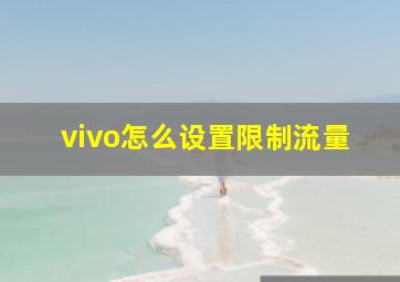 vivo怎么设置限制流量