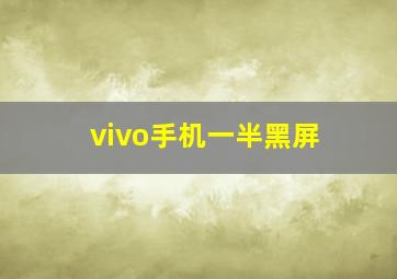 vivo手机一半黑屏