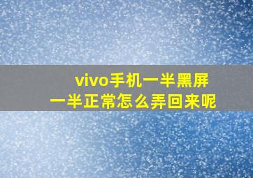 vivo手机一半黑屏一半正常怎么弄回来呢