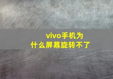 vivo手机为什么屏幕旋转不了