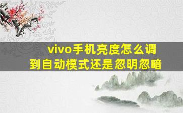 vivo手机亮度怎么调到自动模式还是忽明忽暗