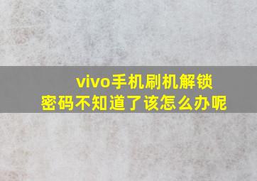 vivo手机刷机解锁密码不知道了该怎么办呢