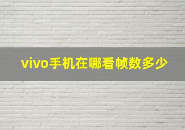 vivo手机在哪看帧数多少