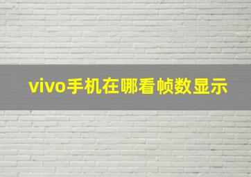 vivo手机在哪看帧数显示