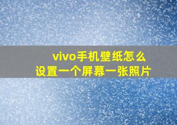 vivo手机壁纸怎么设置一个屏幕一张照片