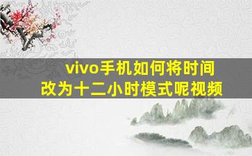 vivo手机如何将时间改为十二小时模式呢视频