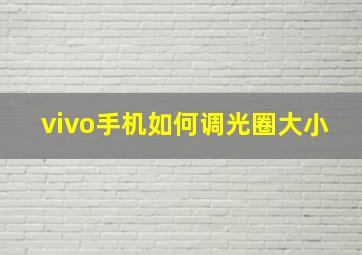 vivo手机如何调光圈大小