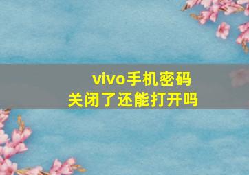 vivo手机密码关闭了还能打开吗