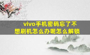 vivo手机密码忘了不想刷机怎么办呢怎么解锁